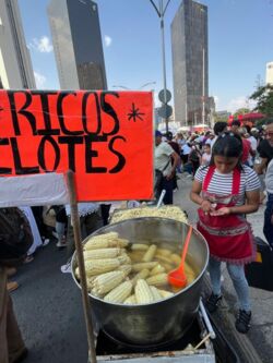 „Ricos Elotes“, bietet eine junge Verkäuferin auf einer Straße in CDMX an