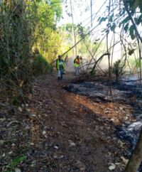 Die Forstbehörden setzen viel Personal für die Kontrolle der Brände ein
